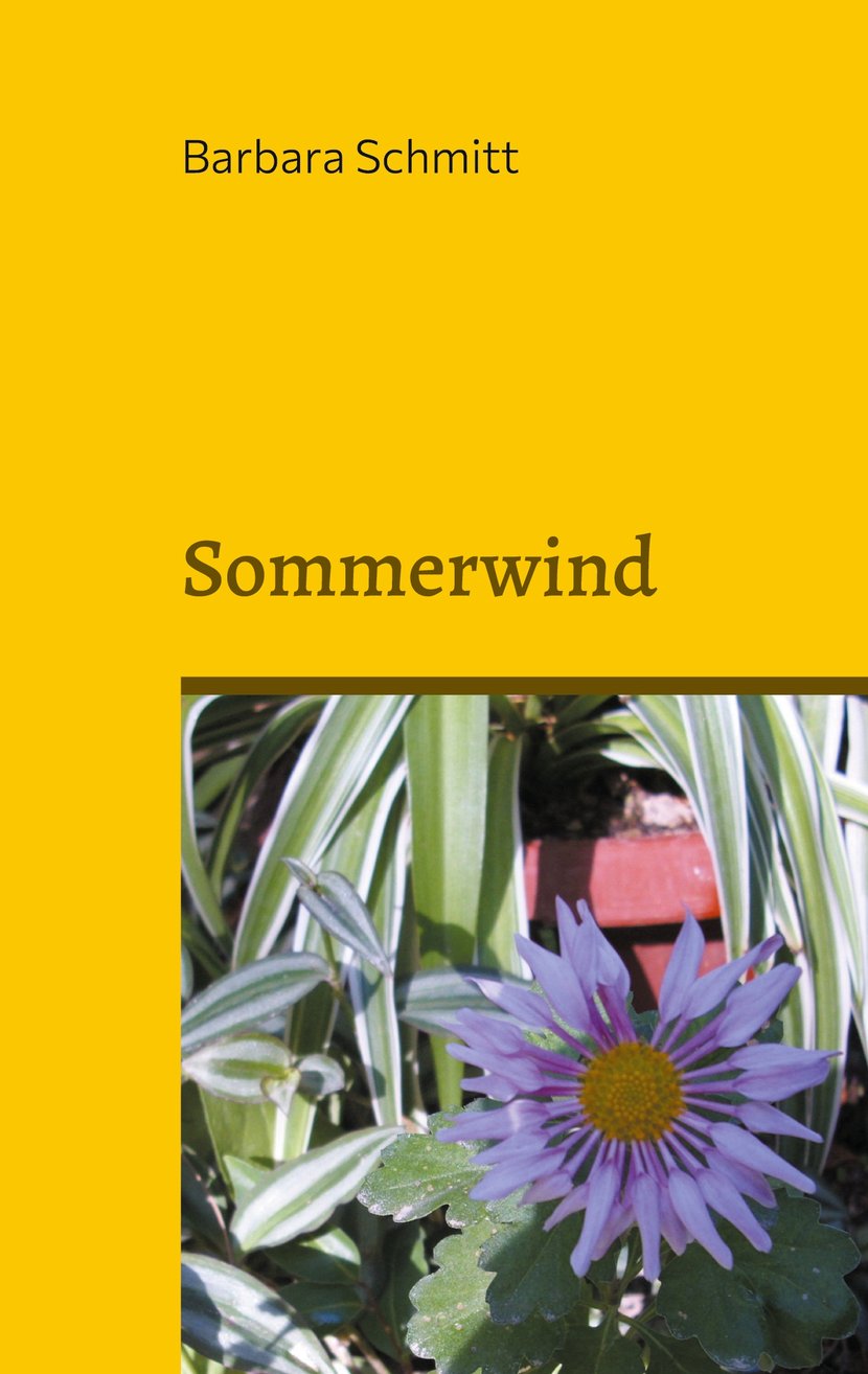 media/pim/12_metadata-image-55415131.jpeg