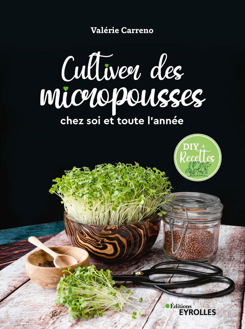 media/pim/12_metadata-image-62183612.jpeg