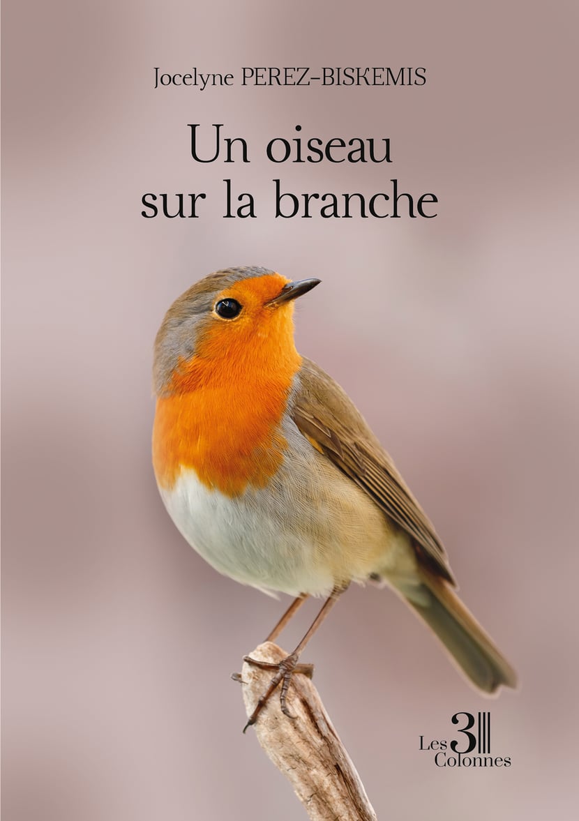 media/pim/12_metadata-image-65446645.png