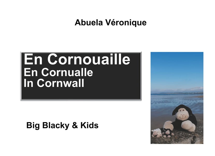 media/pim/12_metadata-image-70922965.jpeg
