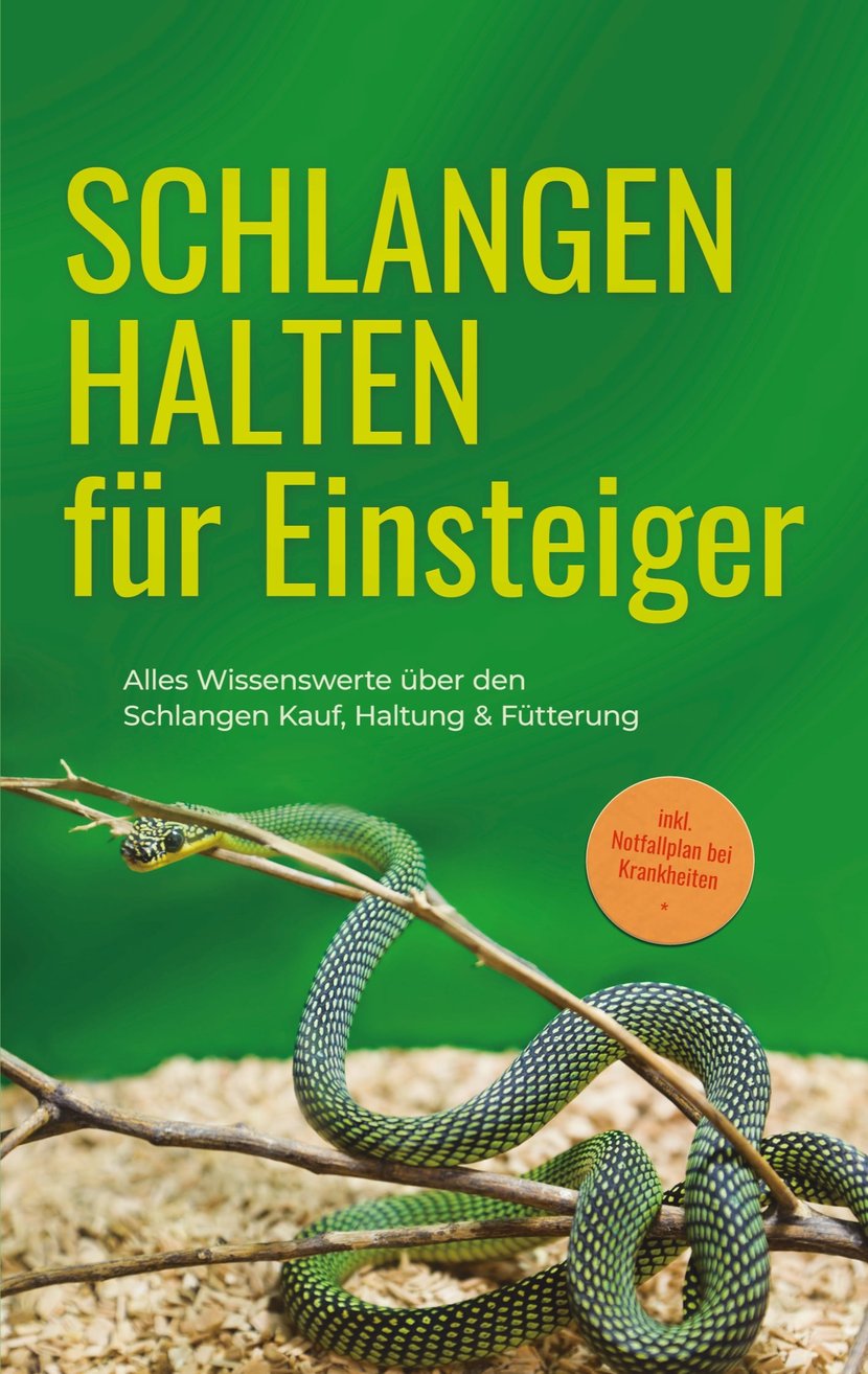 media/pim/12_metadata-image-77680154.jpeg