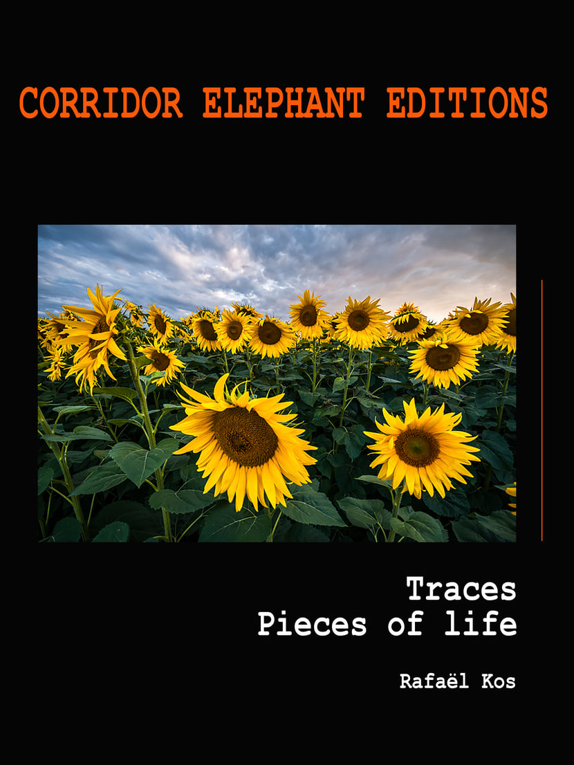 media/pim/12_metadata-image-8005187.png