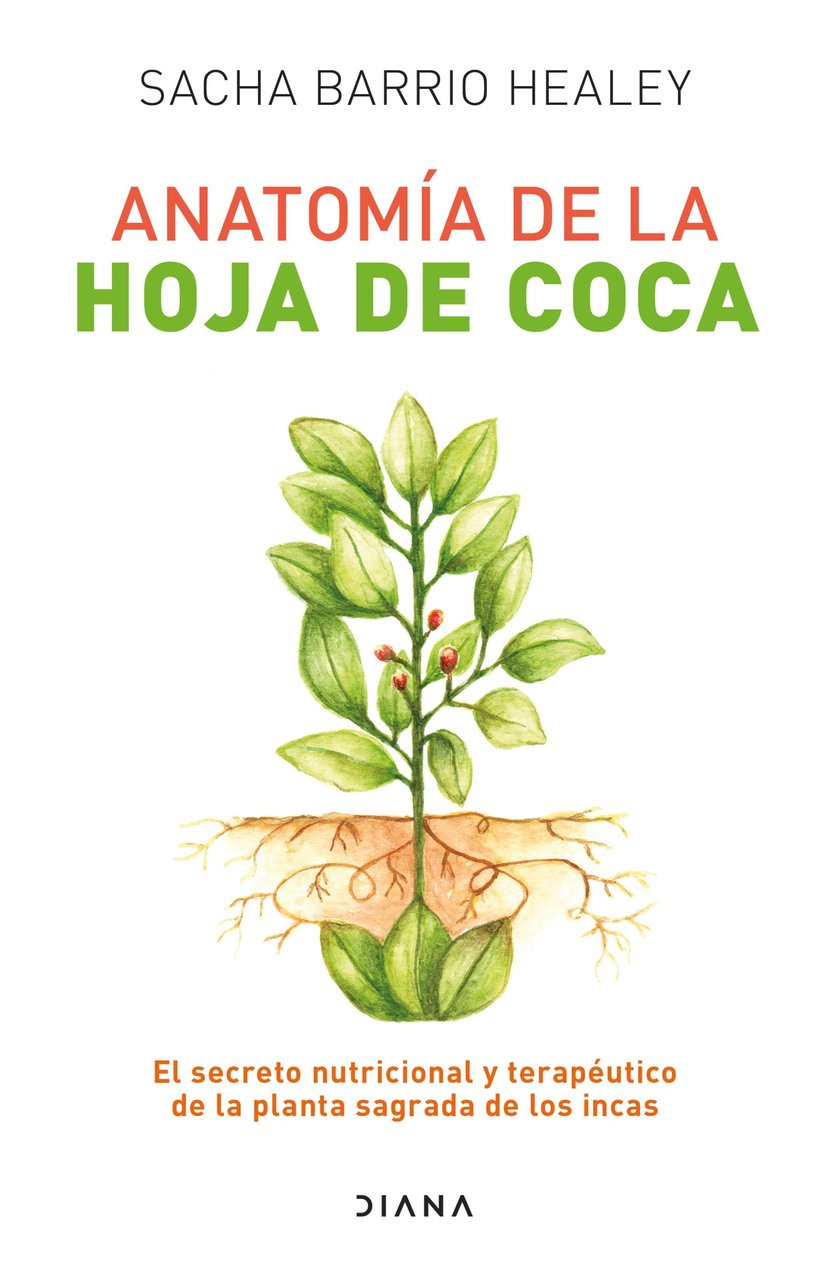 media/pim/12_standalone-image-1729813.jpg