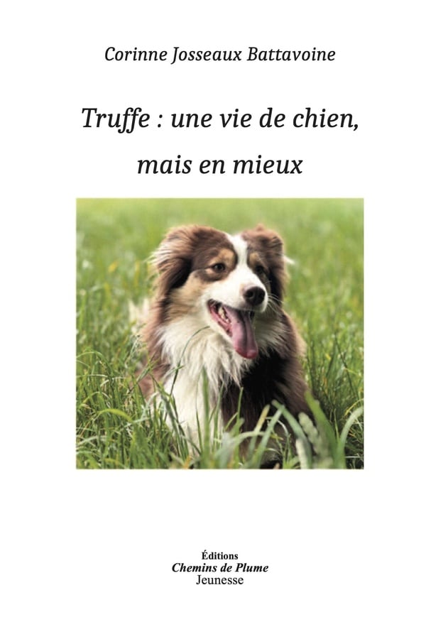 media/pim/13010293_1ocqzrxl_1