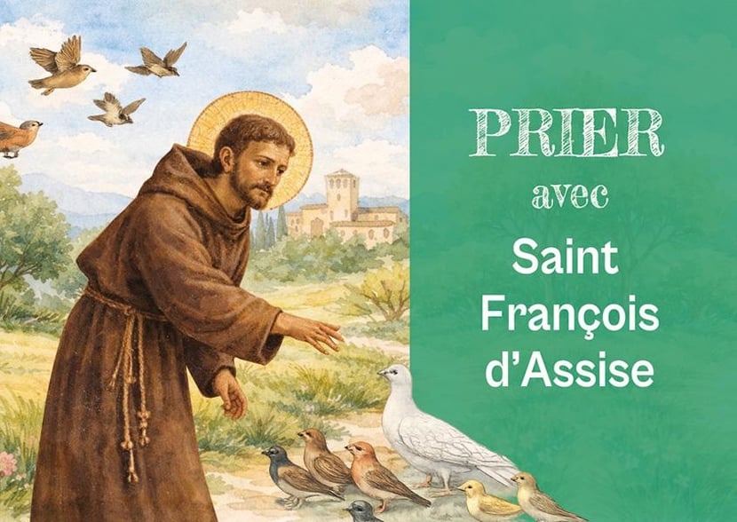 media/pim/13033285_b3008574_1