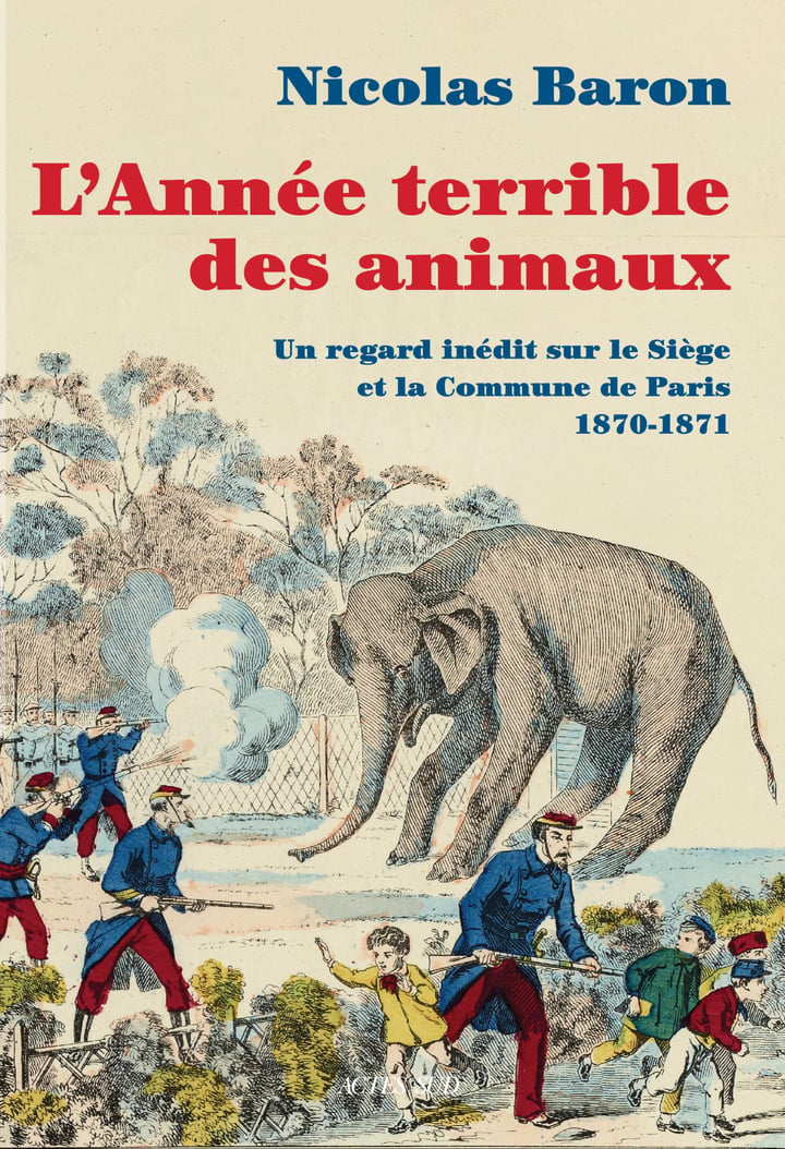 media/pim/13044782_1qg32vnc_1_fb1eb