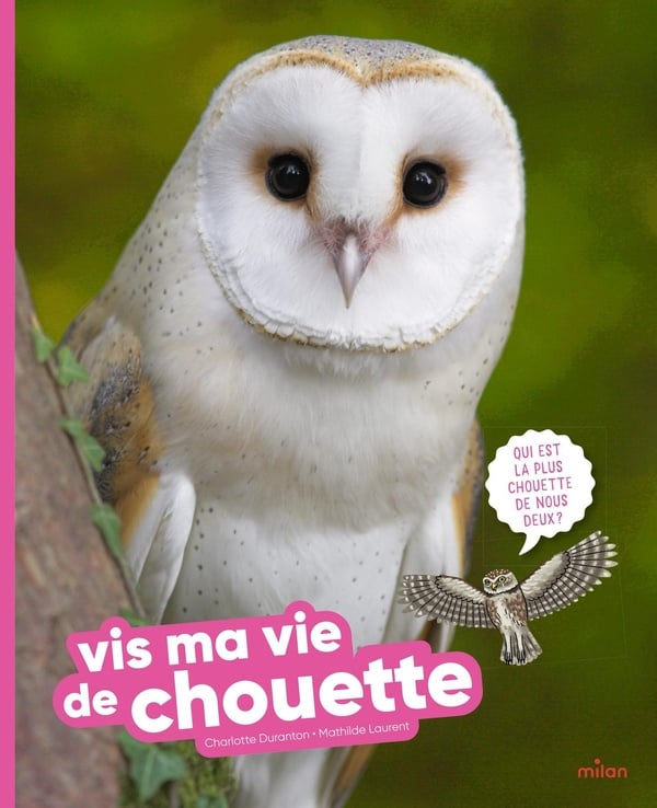 media/pim/13052815_rte1l79z_1