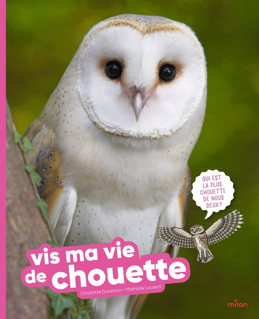 media/pim/13052815_rte1l79z_1_cd23a
