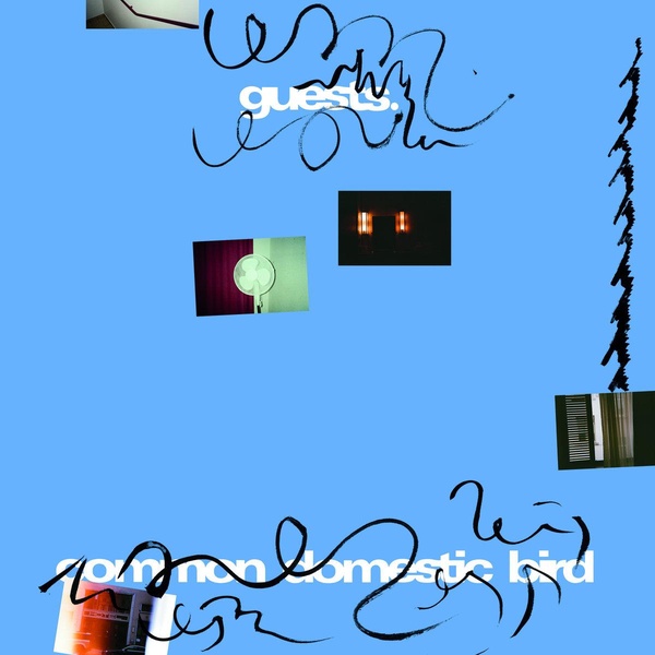 media/pim/13065624_irsyrg07_1