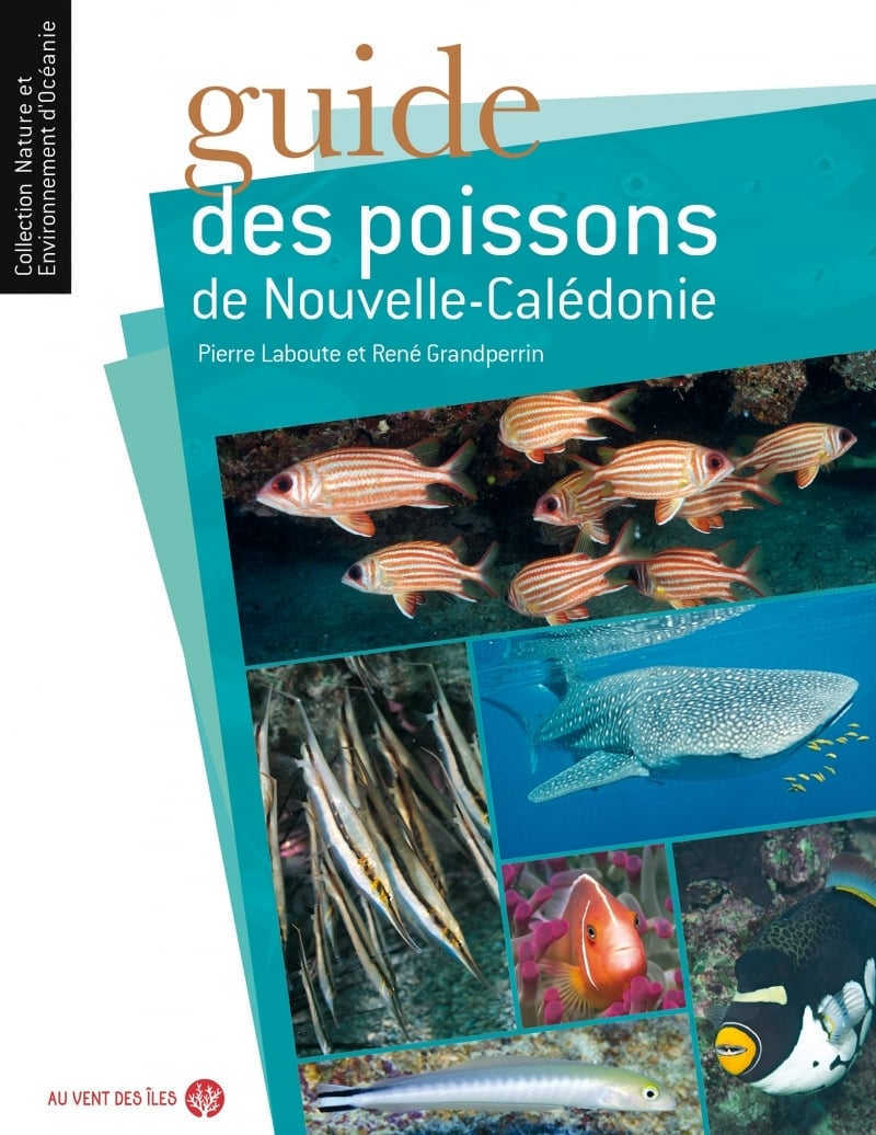 media/pim/13066279_1o5d3rwj_1_1651d