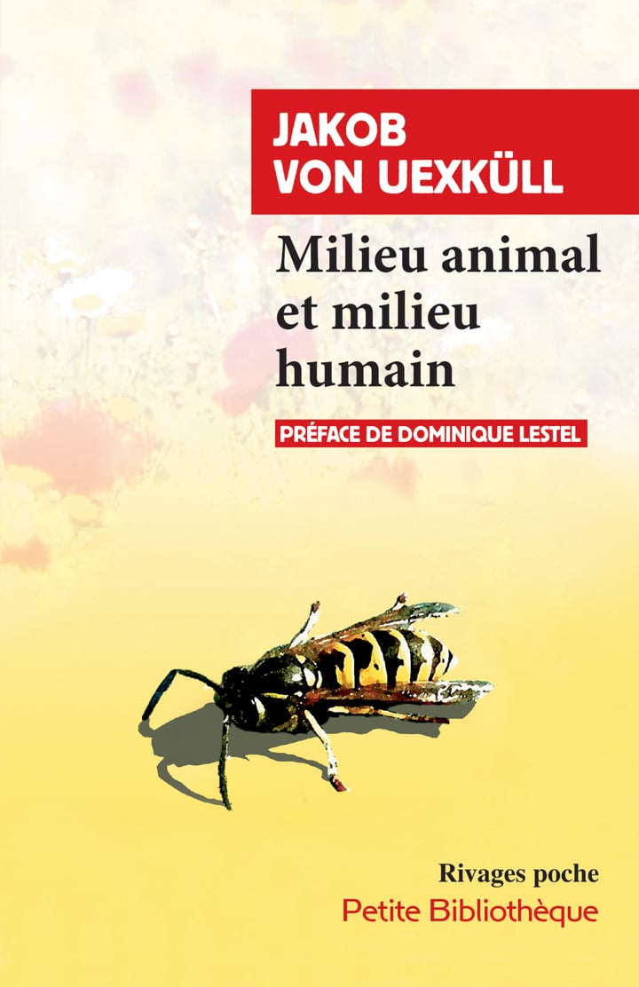 media/pim/13068859_137tyr60_1_64ce1