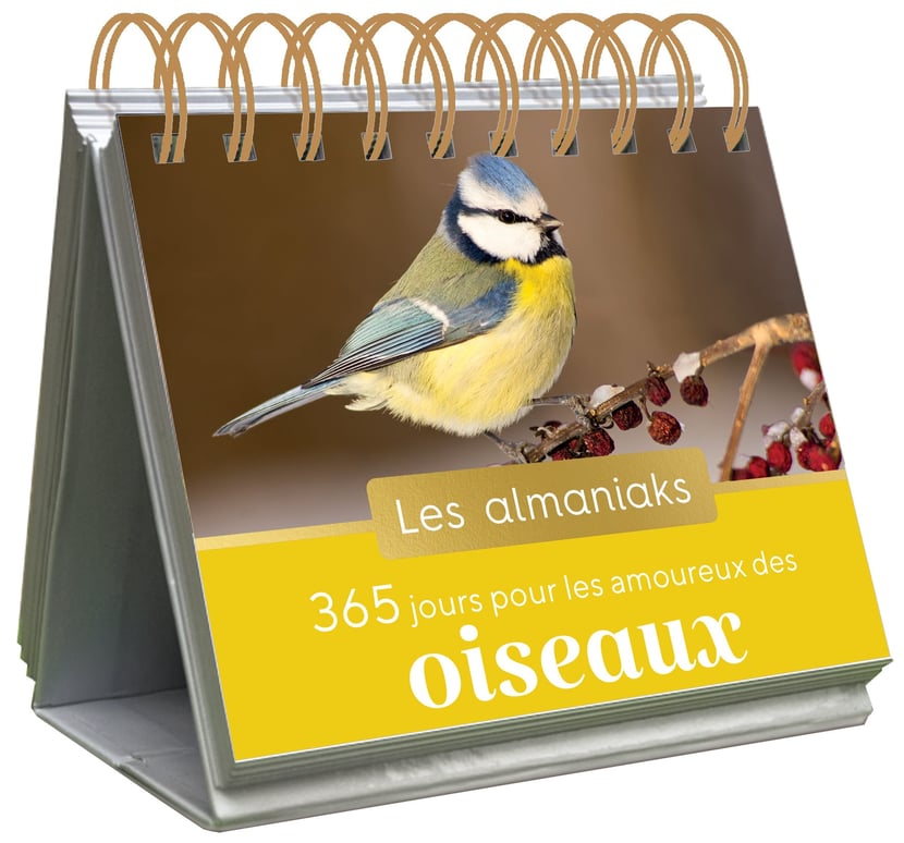 media/pim/13089230_15gv9vog_1_7fe47