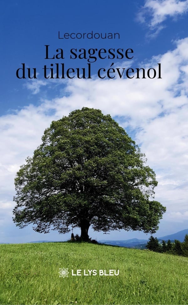 media/pim/13121566_6yptaful_1