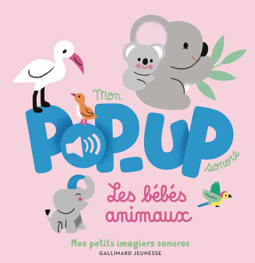 media/pim/13136538_aju3fe6x_1_33bae