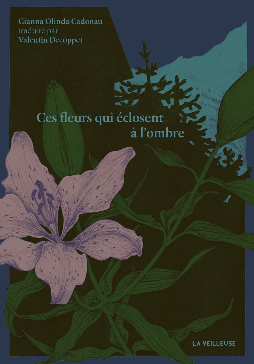 media/pim/13143493_1cyf9kku_1_d6d96