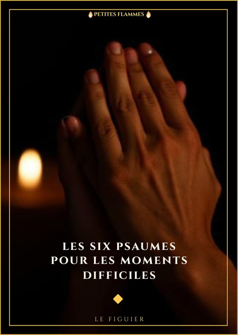 media/pim/13318065_v7ykwbux_1_1e2d9