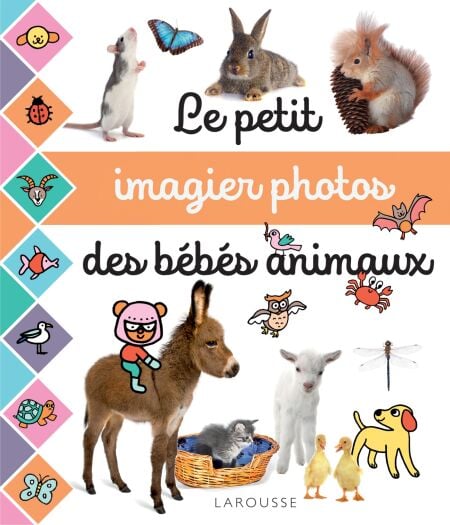 media/pim/13_19ad7672-8ede-4f4c-a2f3-8eea370d6b9a.jpeg