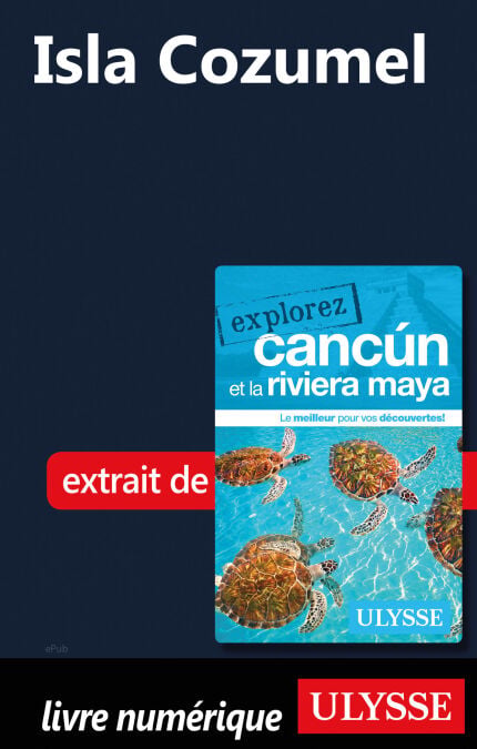 media/pim/13_50bde30c-6ac3-4d90-abf7-940aa688f59b.jpeg