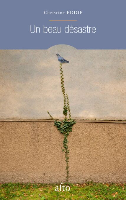 media/pim/13_63c90374-fbeb-444d-909f-39b124bcd12a.jpeg