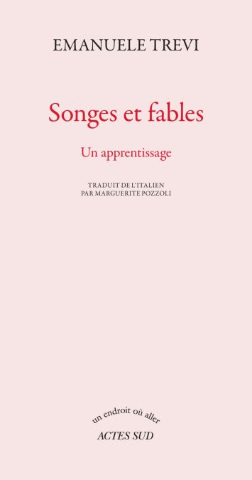 media/pim/13_887868bd-45e5-4372-8085-e574258fd338.jpeg