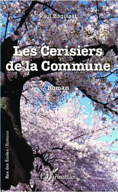 media/pim/13_e6a27d12-6ac5-4427-ba67-d12523721bf9.jpeg