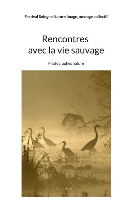 media/pim/13_f101df9a-d746-425d-ad8d-04f923eef162.jpeg