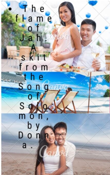 media/pim/13_f969efdd-077a-43c6-8ec4-e6b4ae786cf5.jpeg