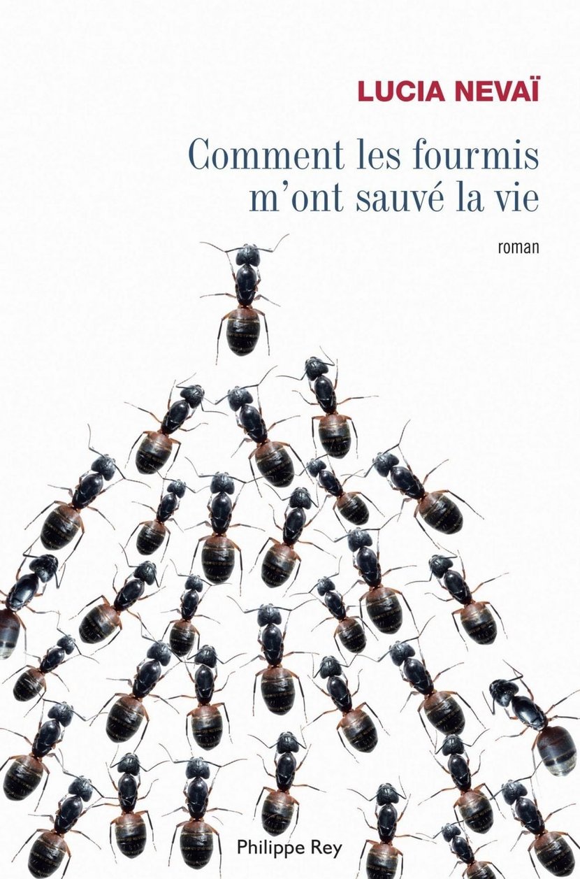 media/pim/13_metadata-image-33811792.jpeg
