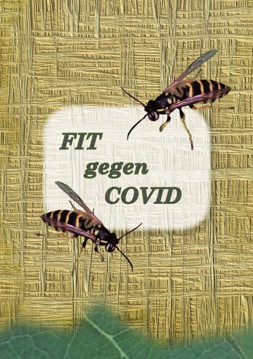 media/pim/13_metadata-image-55691047.jpeg