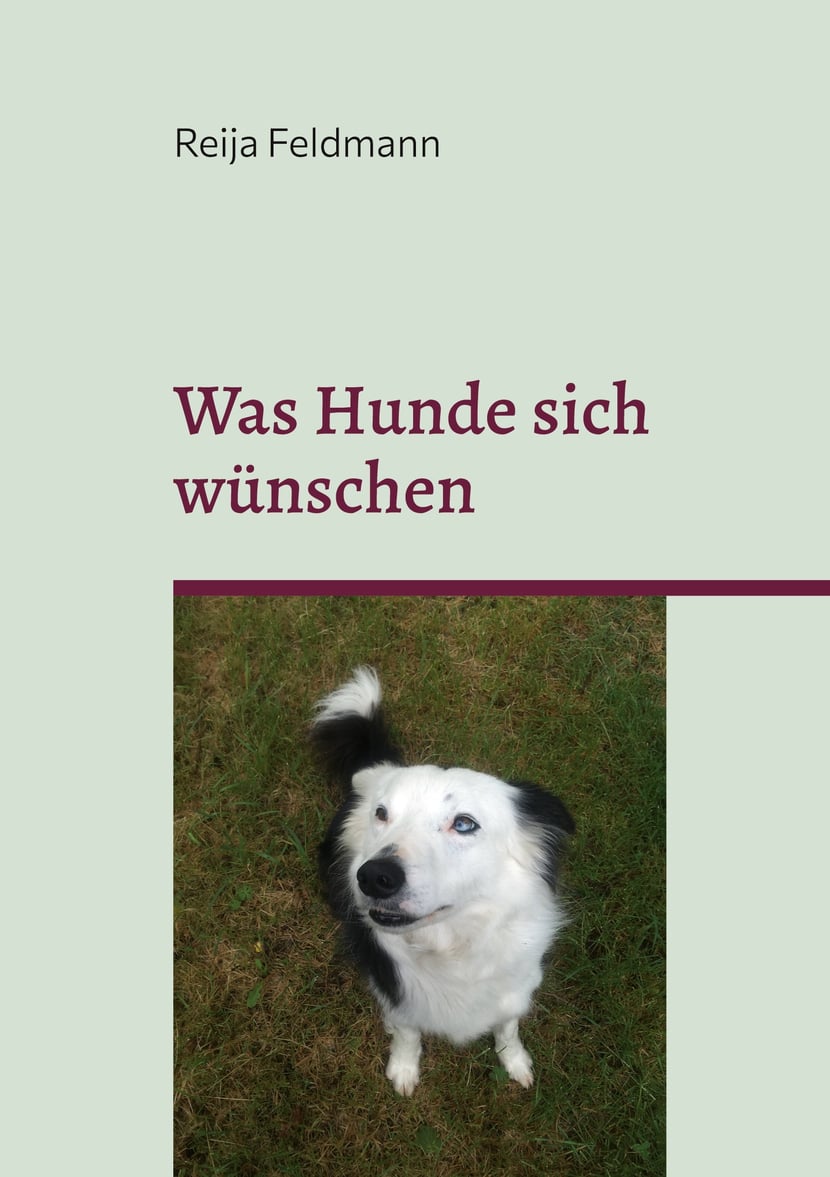 media/pim/13_metadata-image-65533737.jpeg