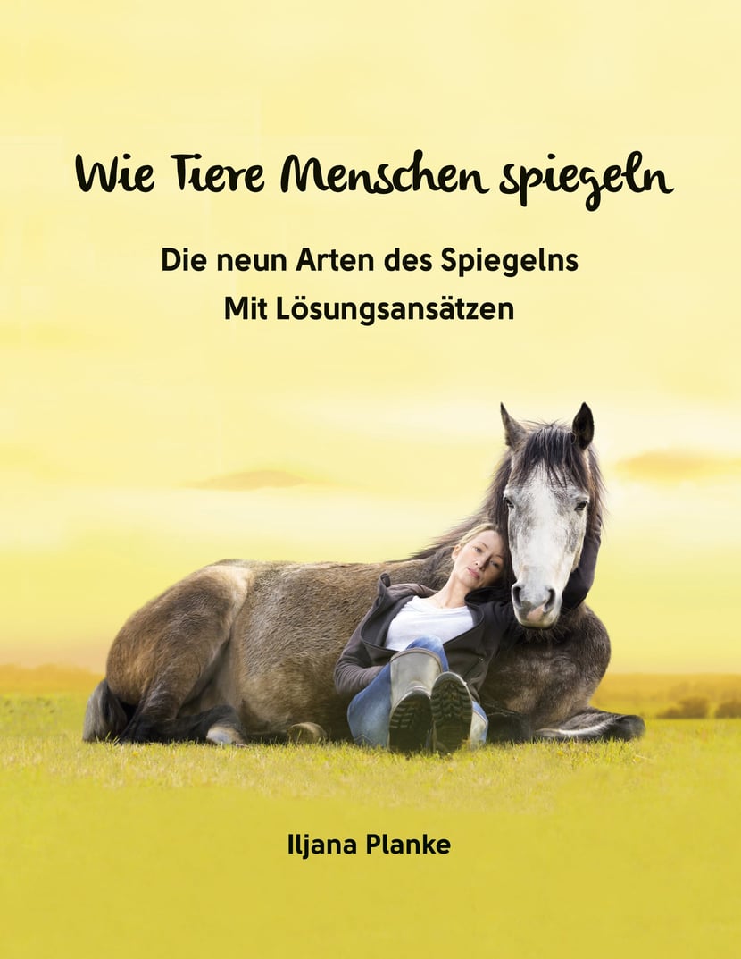 media/pim/13_metadata-image-70587102.jpeg