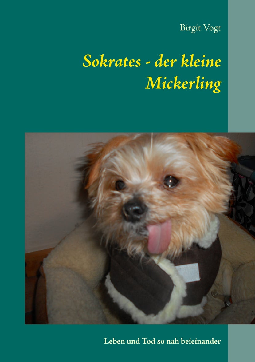 media/pim/13_metadata-image-70967175.jpeg