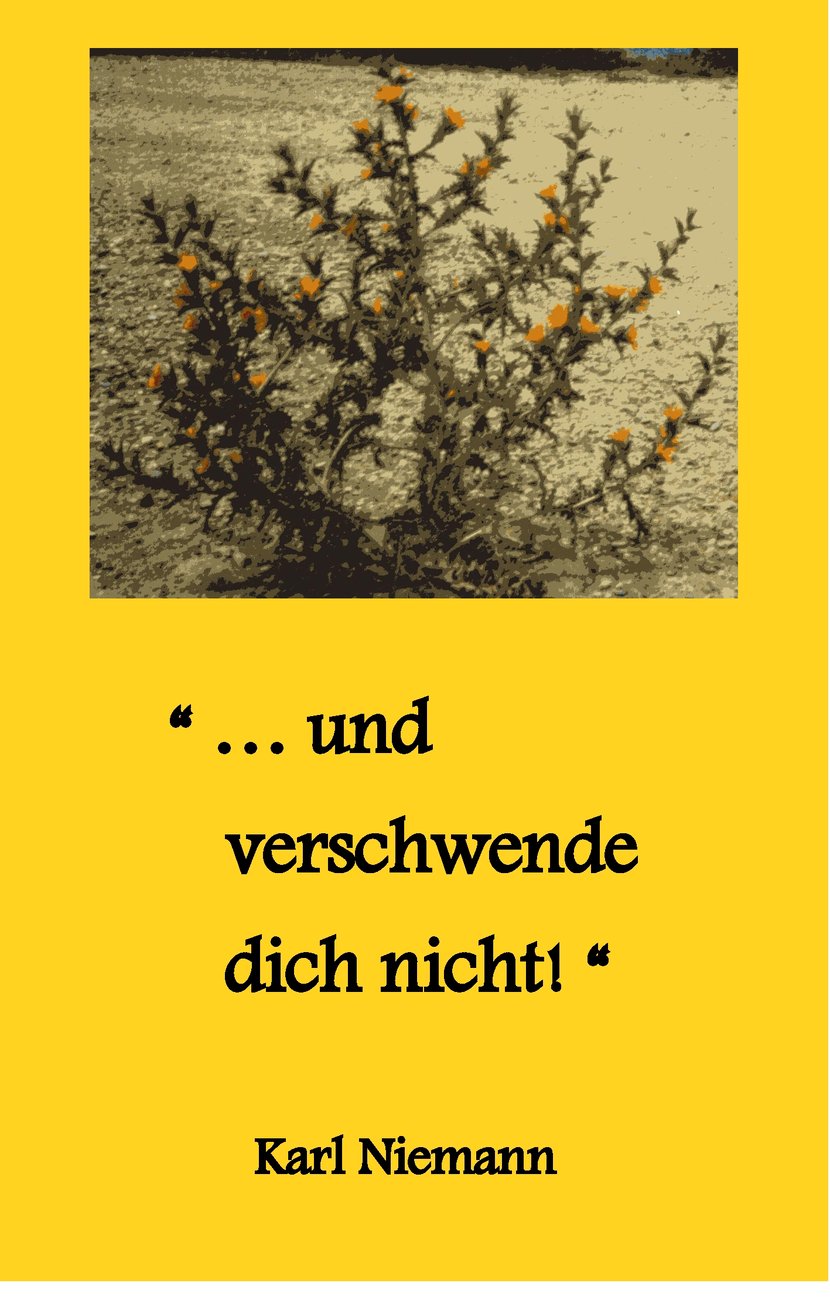 media/pim/13_metadata-image-70969695.jpeg