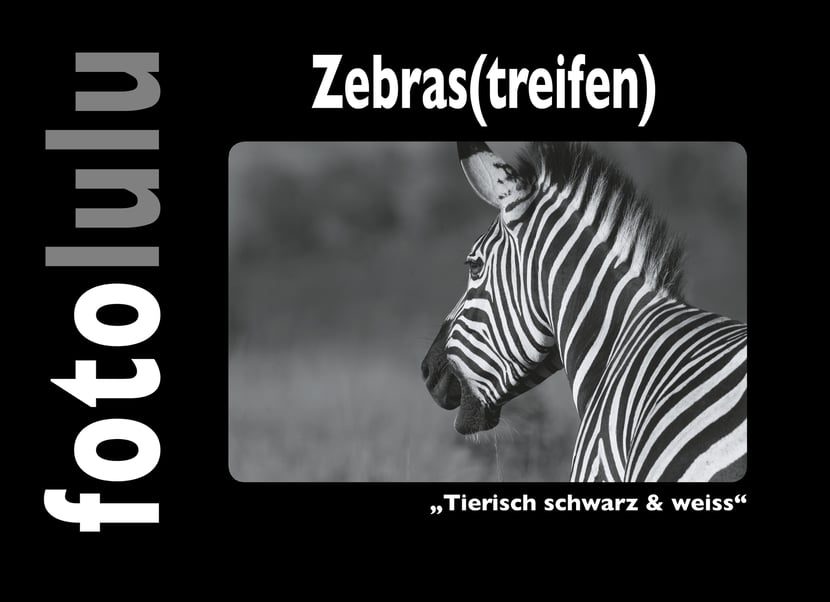 media/pim/13_metadata-image-70978856.jpeg