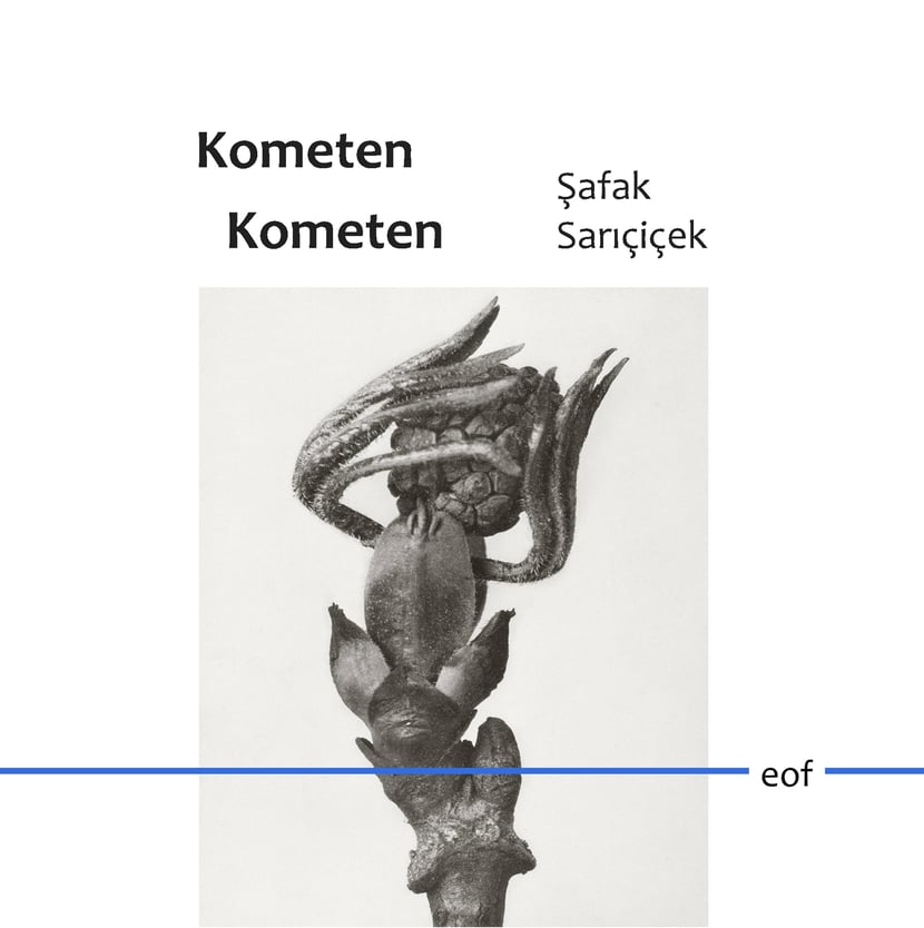 media/pim/13_metadata-image-70991183.jpeg