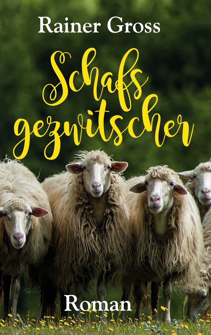 media/pim/13_metadata-image-71391055.jpeg