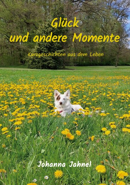 media/pim/13_metadata-image-73654482.jpeg