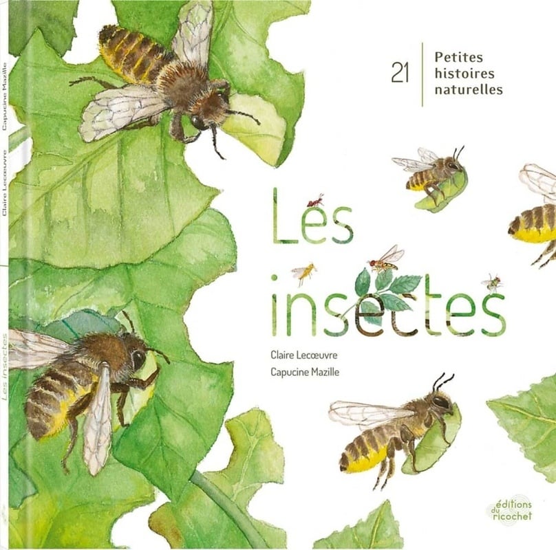 media/pim/1496990_image_type_product_shot_SODIS_1_FR_fd391