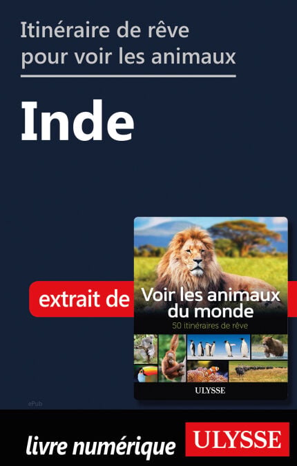 media/pim/14_68432485-b61e-463d-b9b7-1015fdc172e0.jpeg