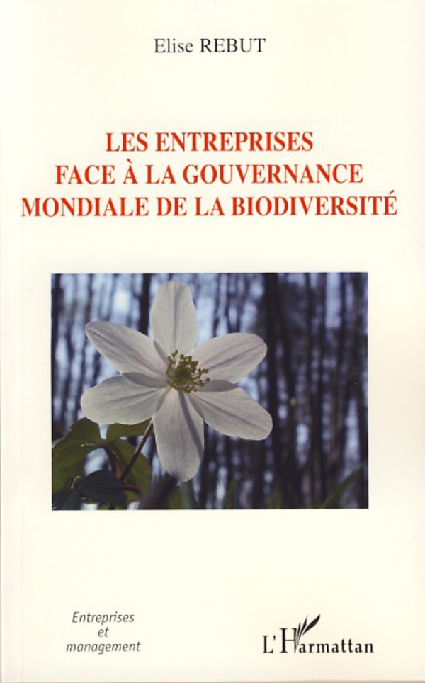 media/pim/14_metadata-image-37705308.jpeg