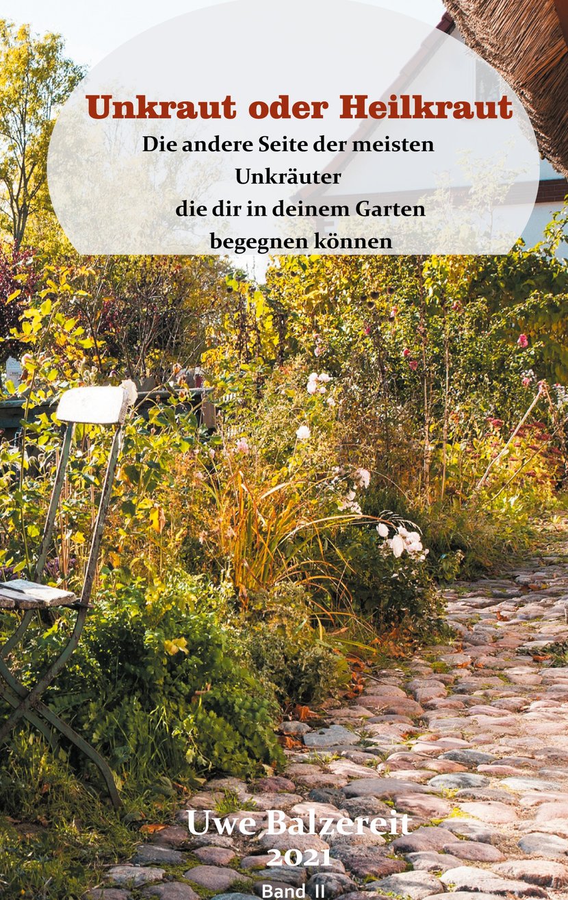 media/pim/14_metadata-image-48280162.jpeg