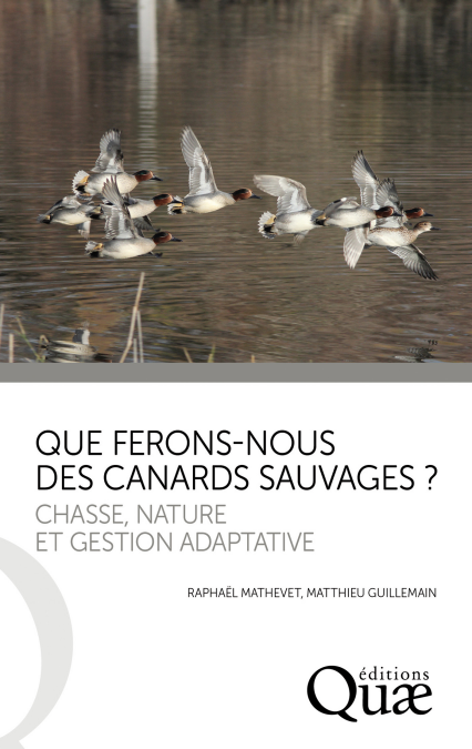 media/pim/14_metadata-image-6741834.png