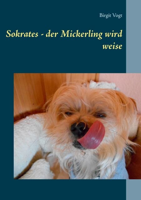 media/pim/14_metadata-image-70960170.jpeg