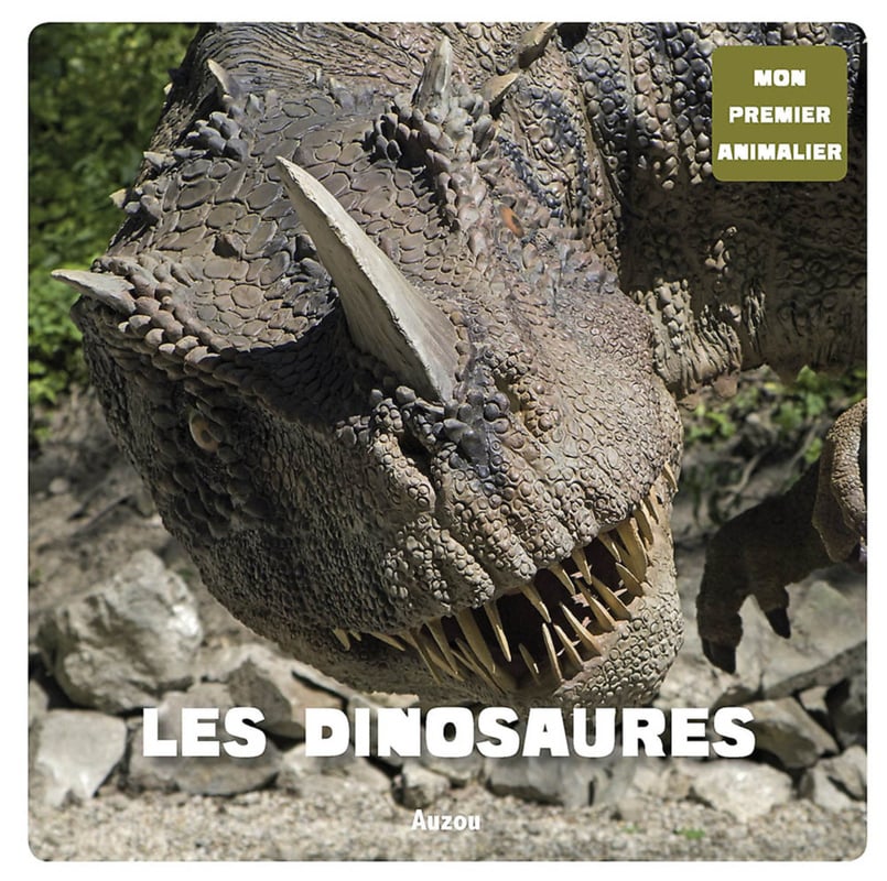 media/pim/1553336_image_type_product_shot_SODIS_1_FR_ac919