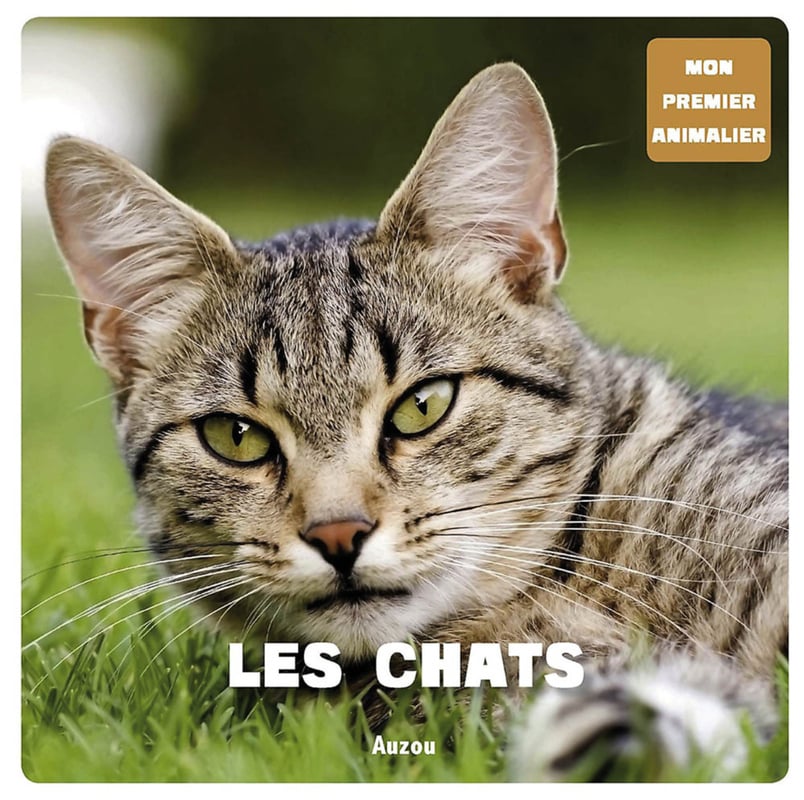 media/pim/1553464_image_type_product_shot_SODIS_1_FR_05735
