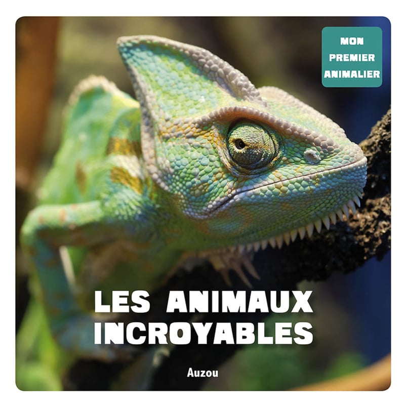 media/pim/1554049_image_type_product_shot_SODIS_1_FR_5f76f