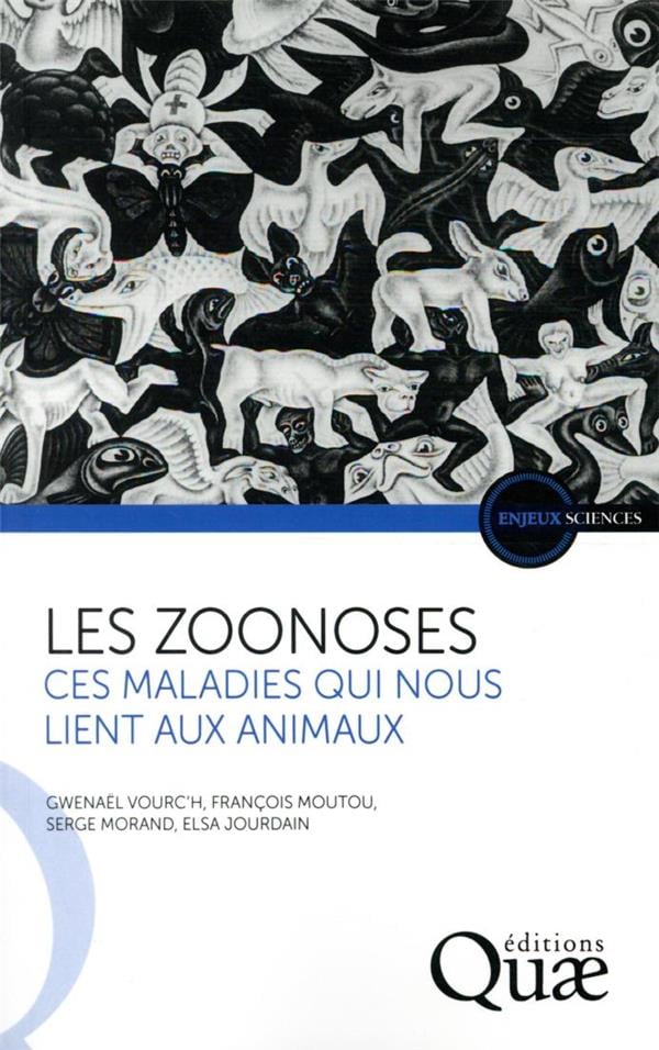 media/pim/1577833_image_type_product_shot_SODIS_1_FR