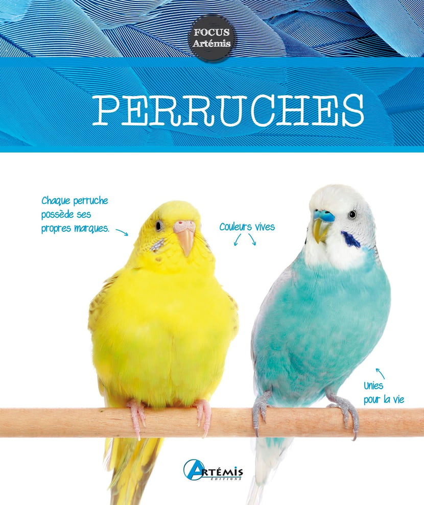 media/pim/1598952_image_type_product_shot_SODIS_1_FR_0a19c