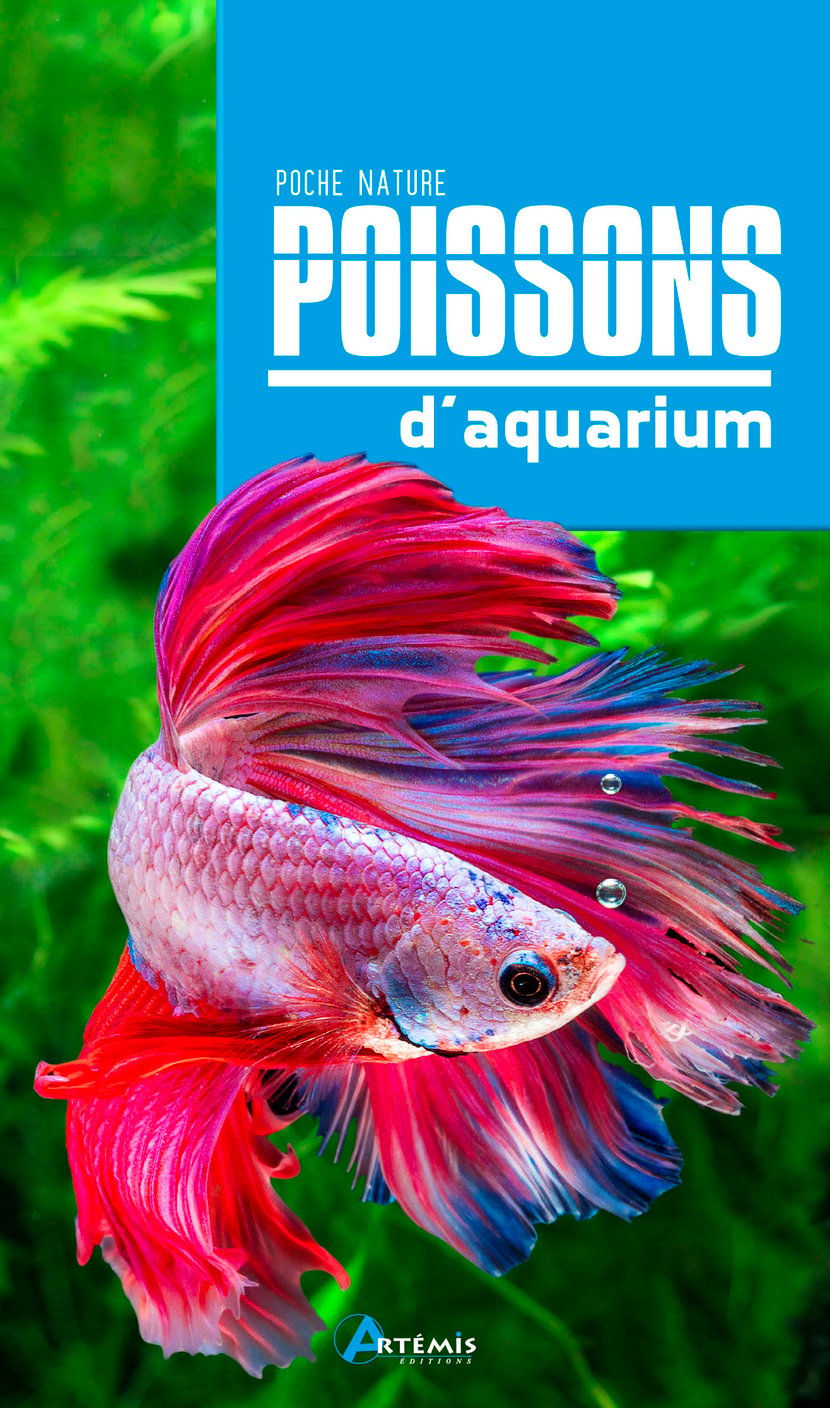 media/pim/1599162_image_type_product_shot_SODIS_1_FR_4da15