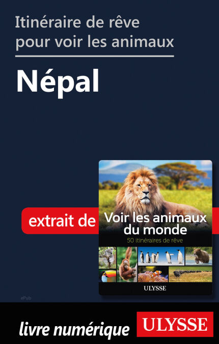 media/pim/15_01b342c8-1928-4874-8a13-88c690732e88.jpeg